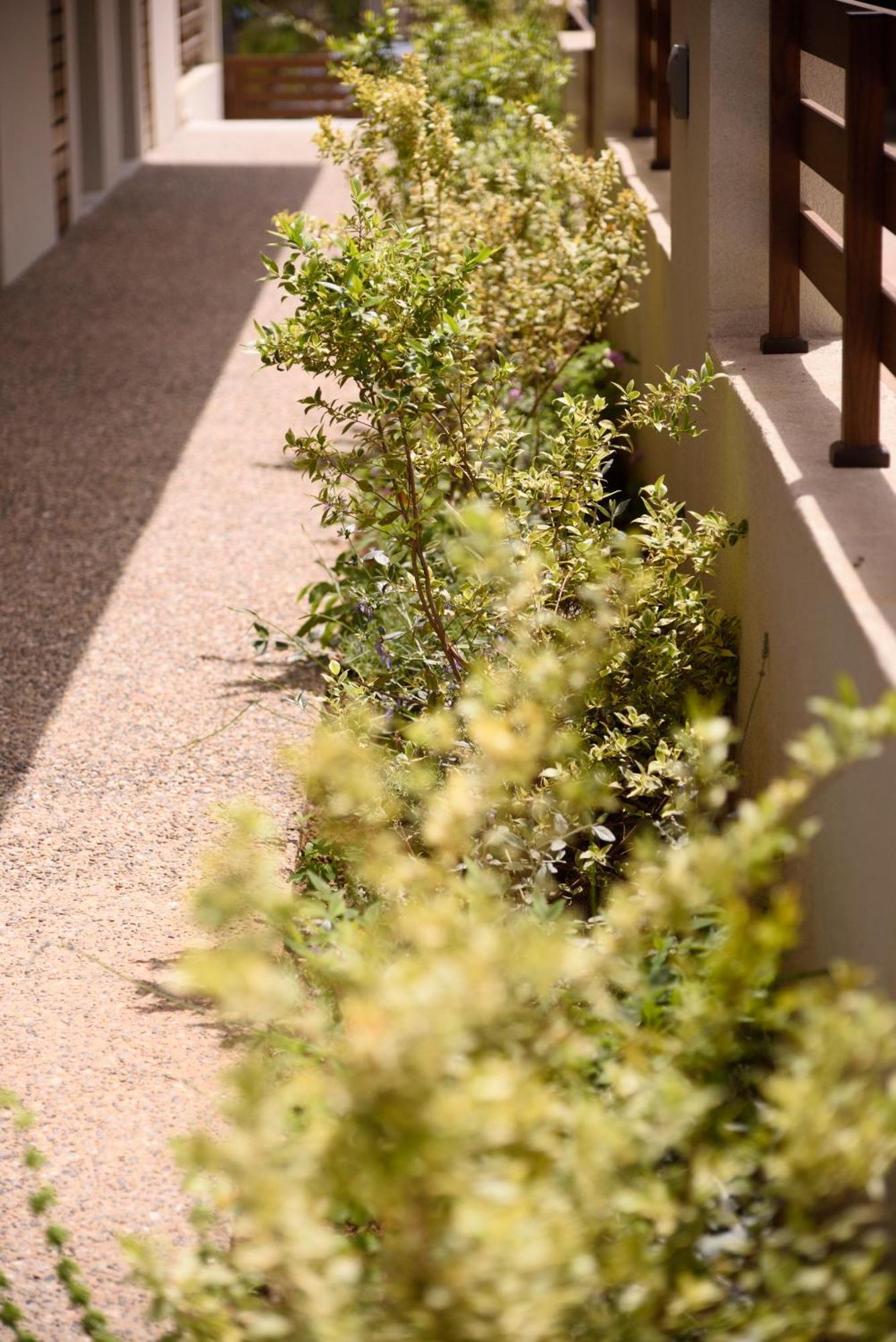 Falena Luxury Rooms Kalyves Polygyrou エクステリア 写真